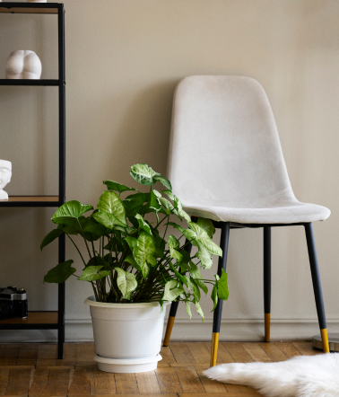 تصویر درباره ما